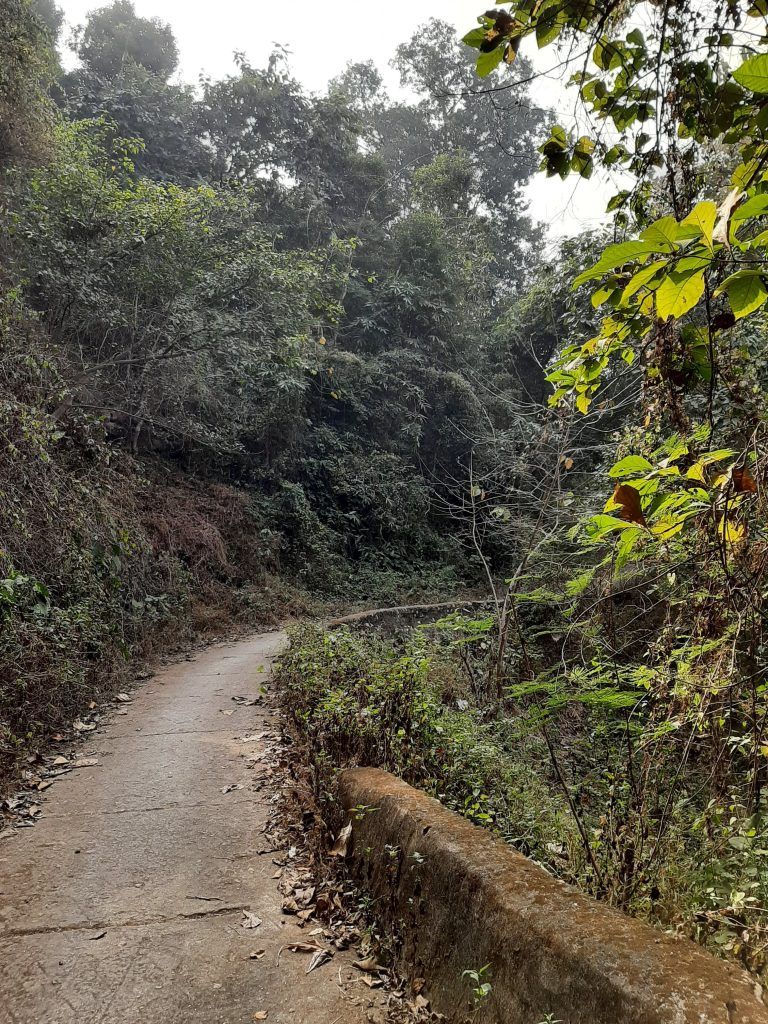 A Foot Traveler's Tale: Discovering Guwahati's Hidden Trails 11 118 1