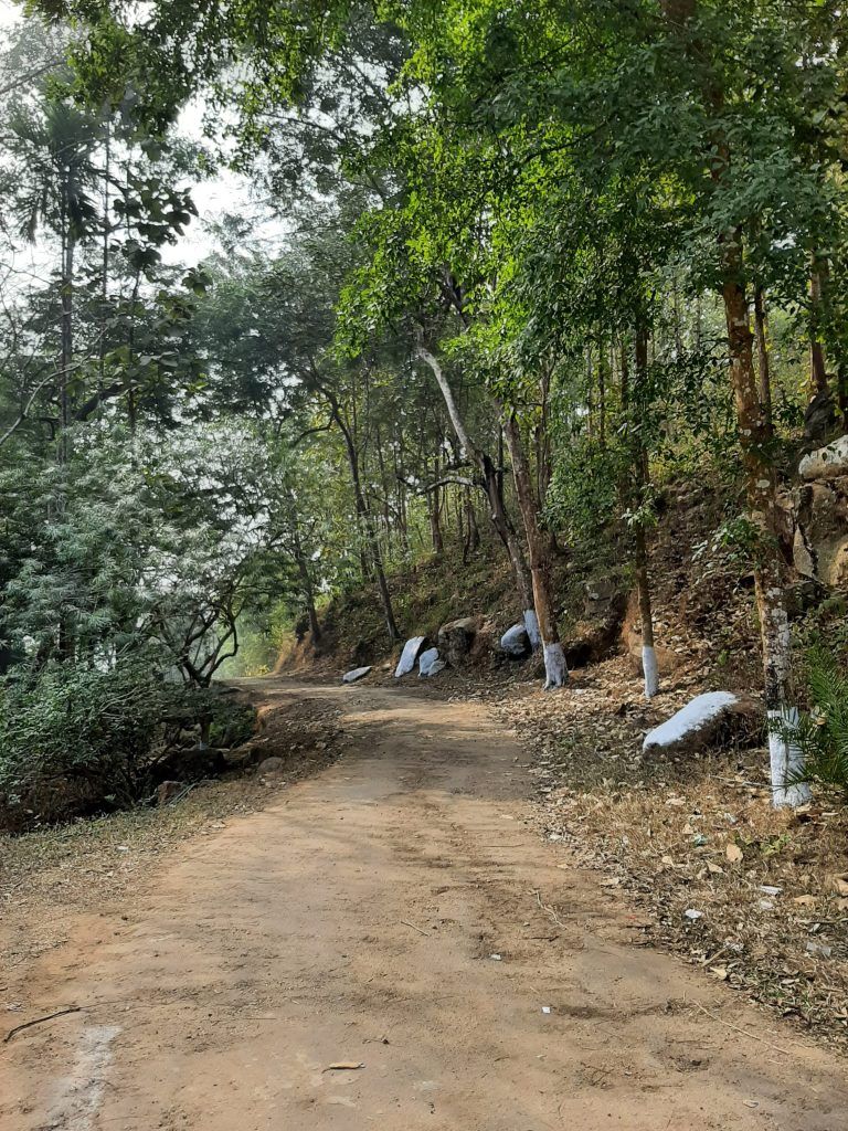 A Foot Traveler's Tale: Discovering Guwahati's Hidden Trails 14 123