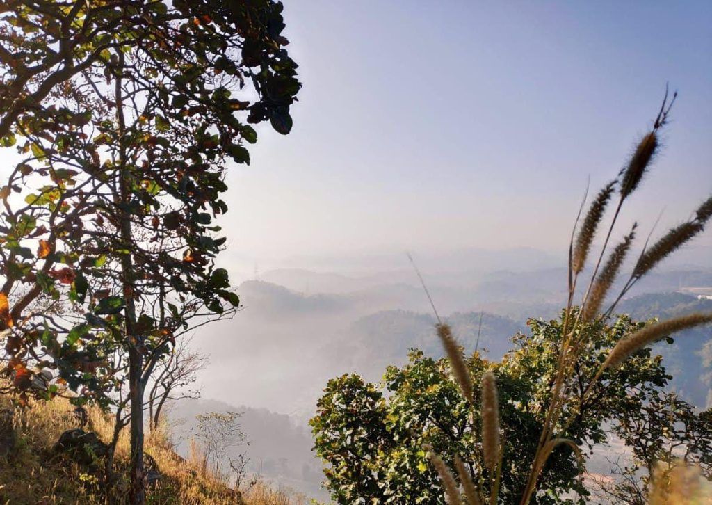 A Foot Traveler's Tale: Discovering Guwahati's Hidden Trails 22 130