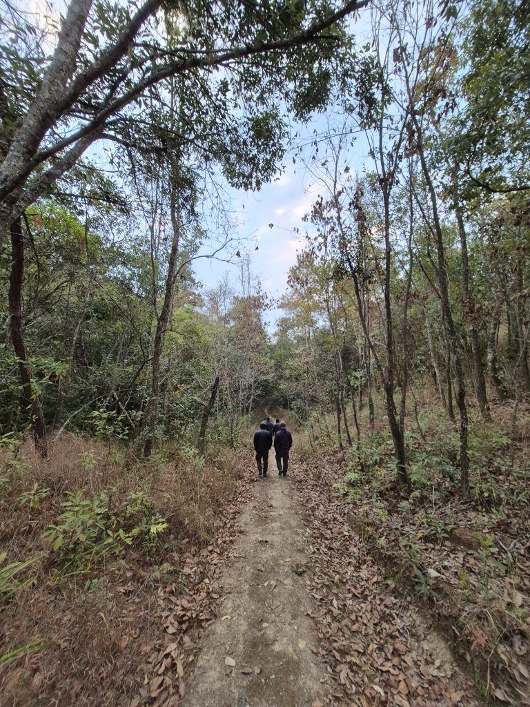 Jessami: A Hidden Gem of History, Wildlife, and Sustainable Tourism 3 20250309 165259 1