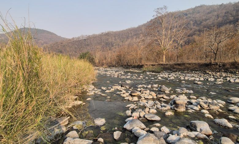 Jessami: A Hidden Gem of History, Wildlife, and Sustainable Tourism 1 20250310 153037