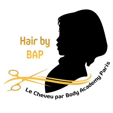 Hair By Bap Salon Afro Hairstyle Paris
