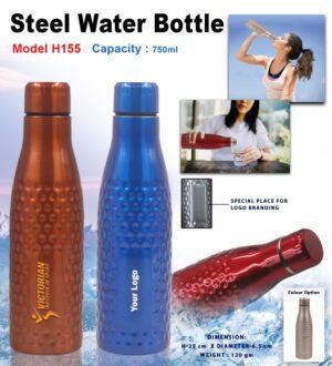 Stainless Steel Water Bottle