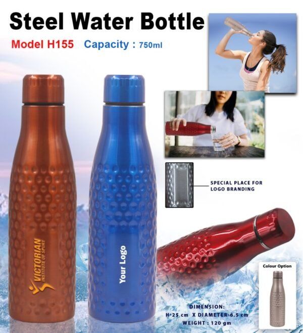 Stainless Steel Water Bottle