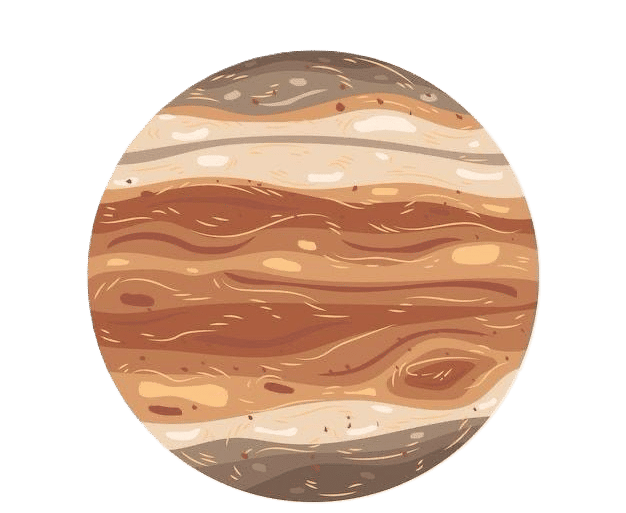 Registration & Check-in