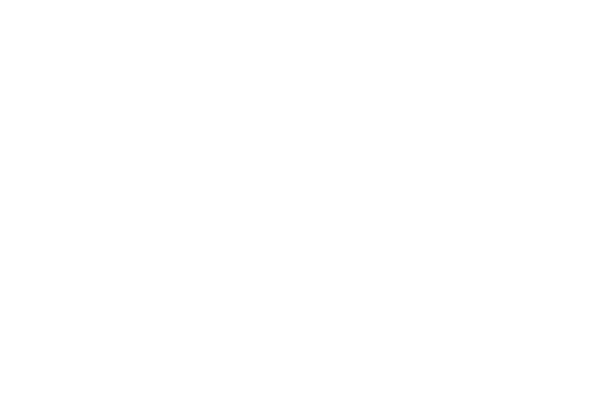 Logo Kaufland