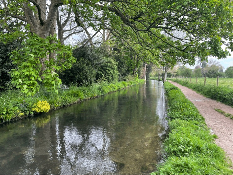 stream