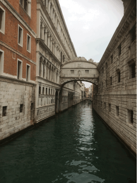 venice bridge