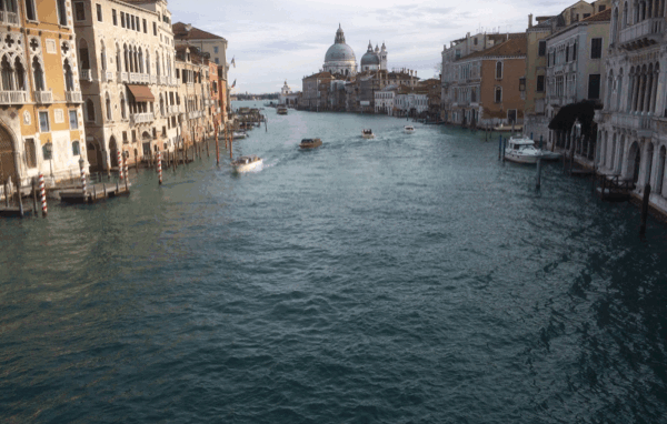 venice water
