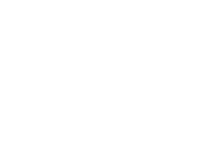 Lokanetra