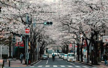 Jepang Akan Menaikan Suku Bunga