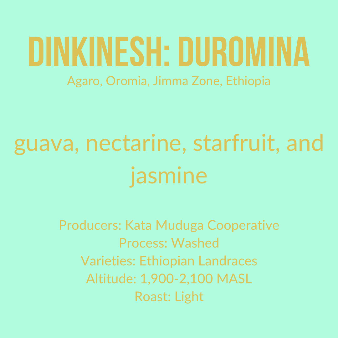 Dinkinesh: Duromina
