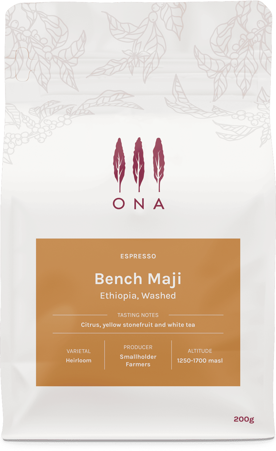 Bench Maji, Ethiopia, Washed