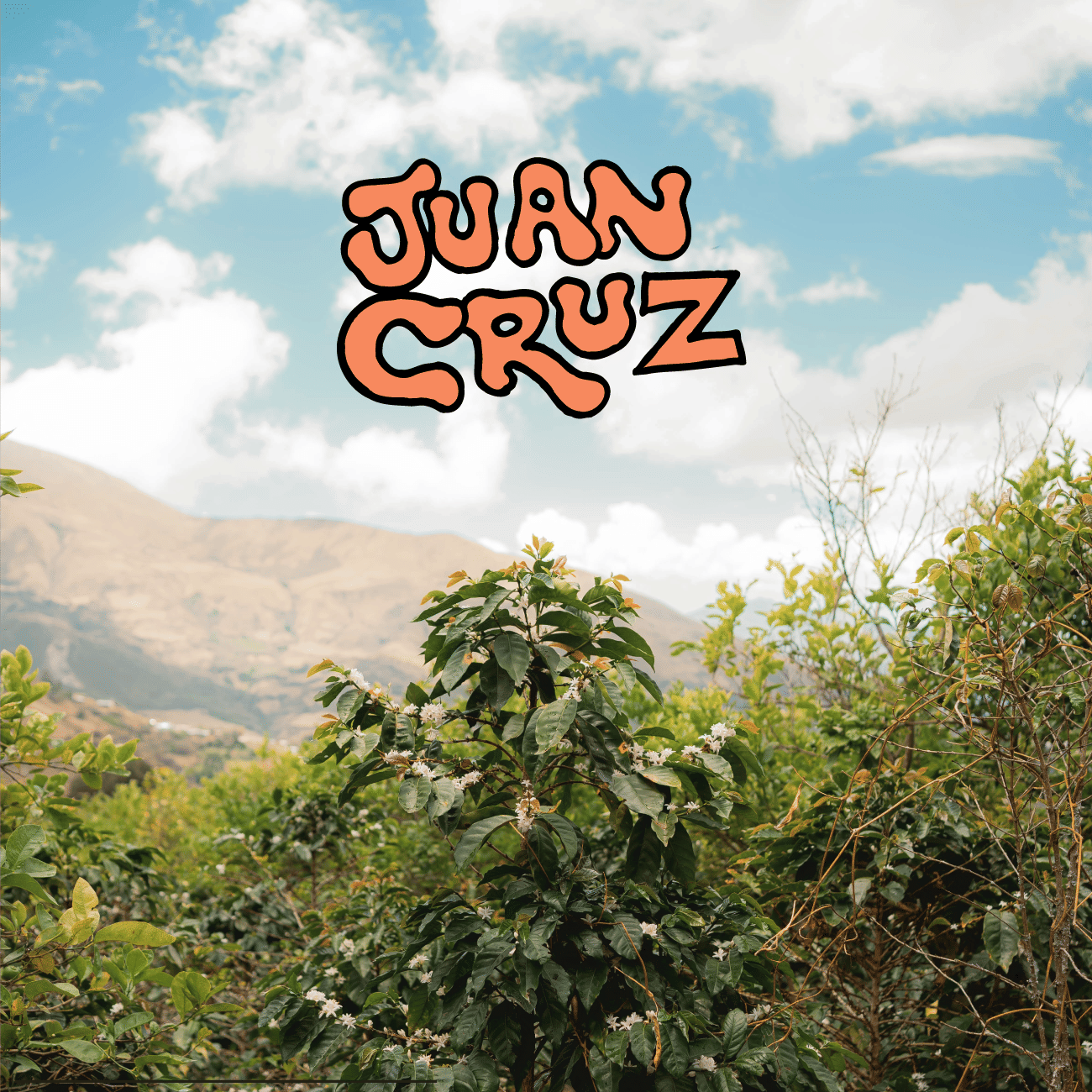Juan Cruz - Aromas Del Valle - Peru