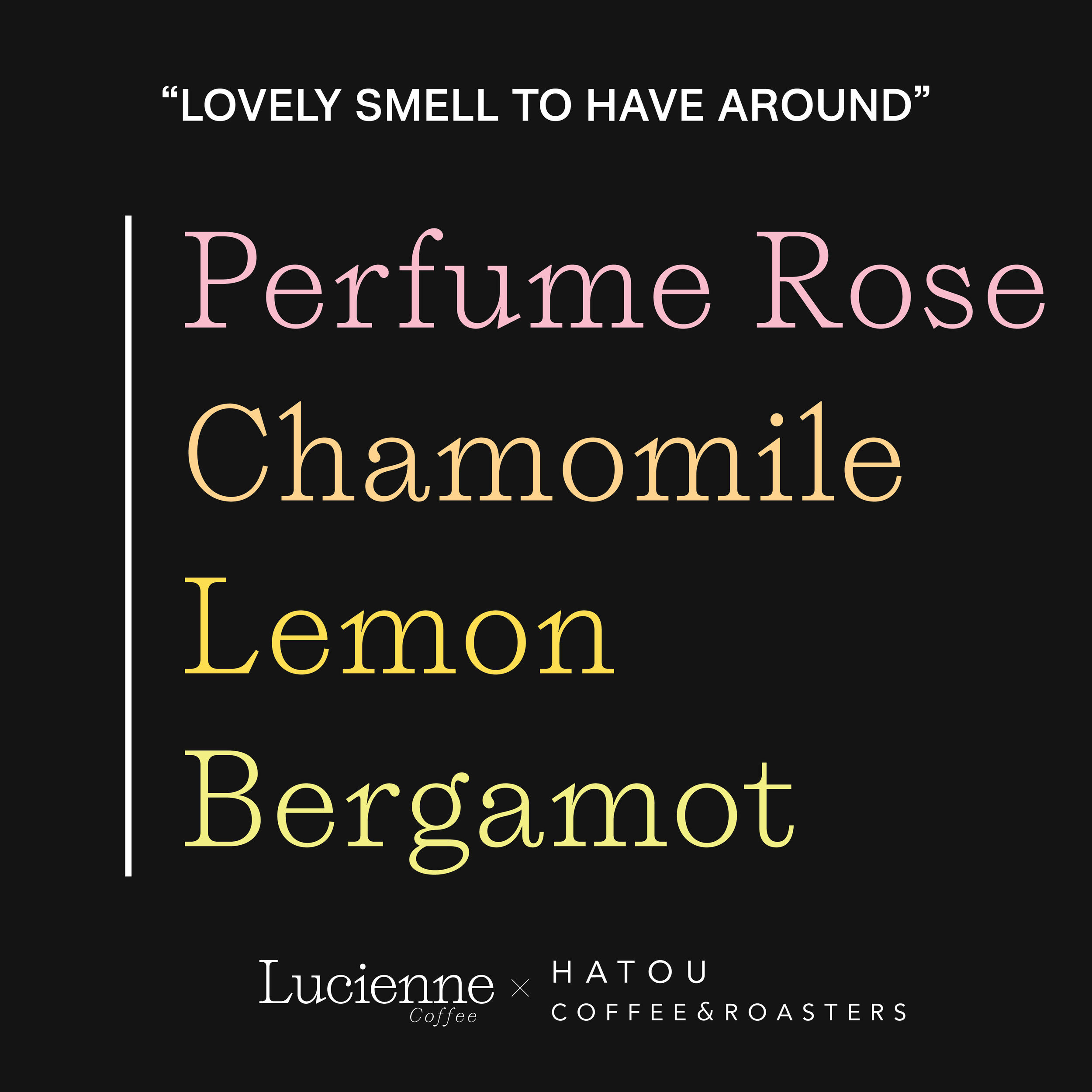 La Betania Thermal Shock Yeast Washed Geisha