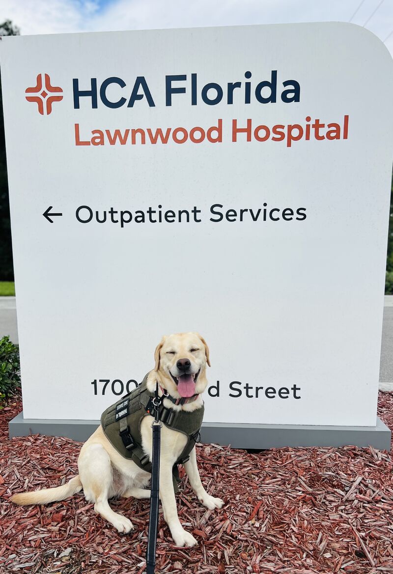 HCA Florida Lawnwood Hospital RN Hiring Event