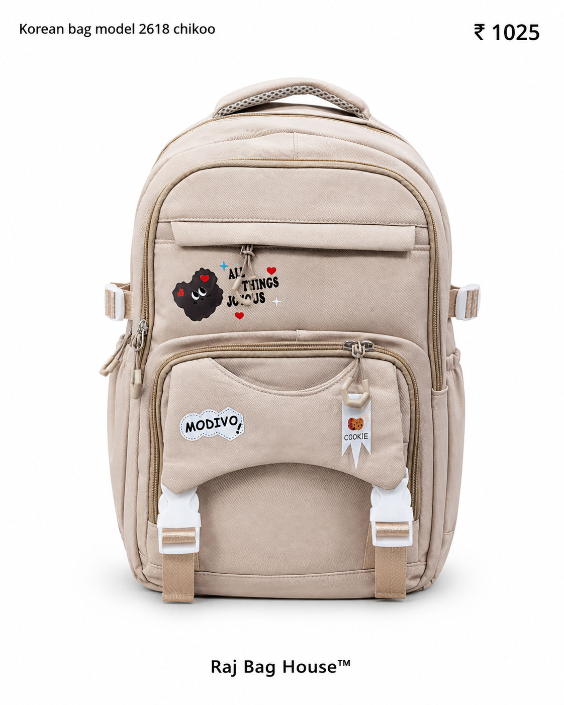 Imported Koreanbag 2618 Chikoo Backpack – Chikoo