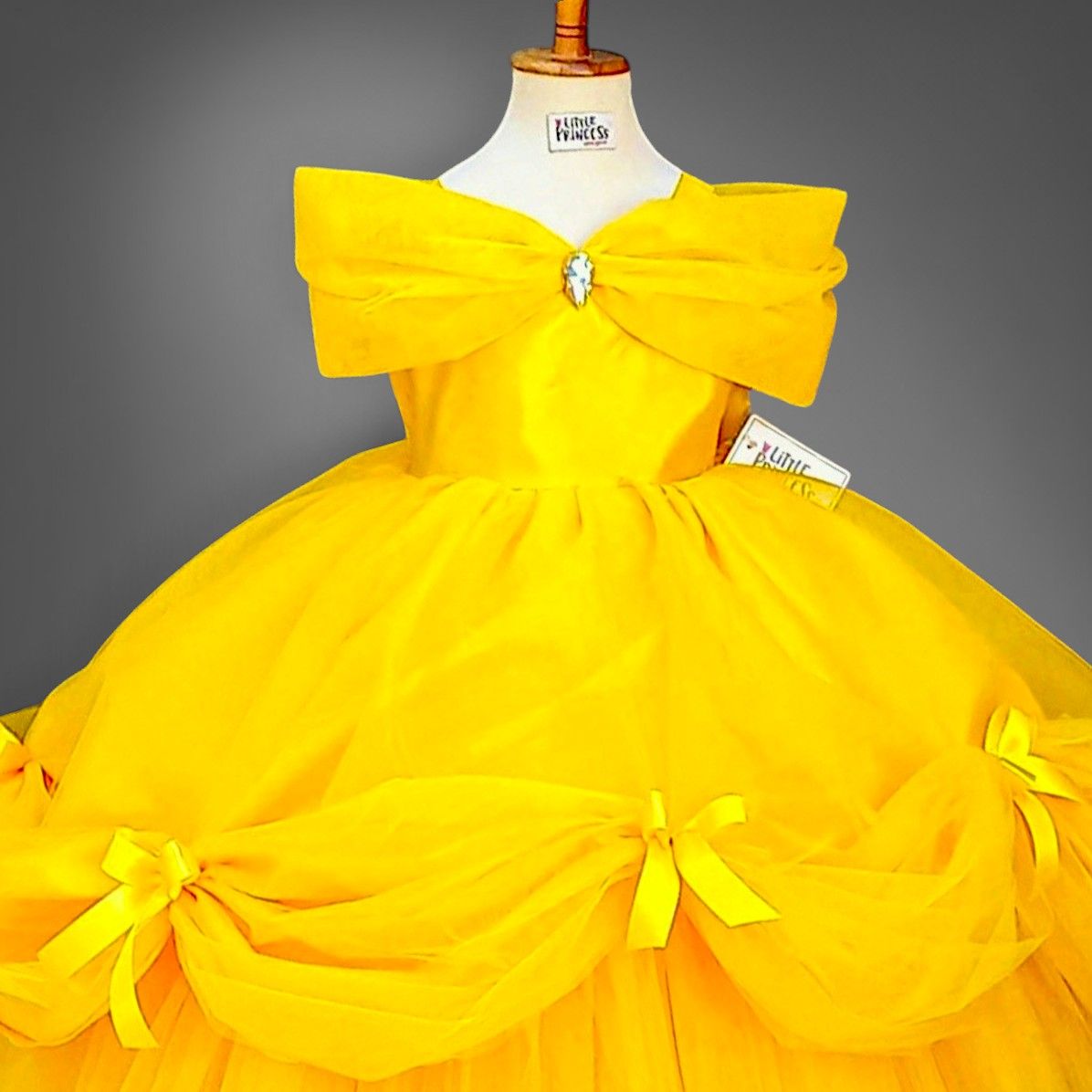 Belle Costume – handmade girls outfit, silk body with a layered net skirt, made to order in Pakistan
