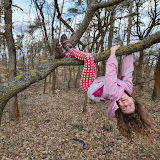 Nevýprava do zoo – plnění úkolů