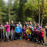 Den za obnovu lesa 2022