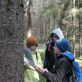 Den lesů nové generace