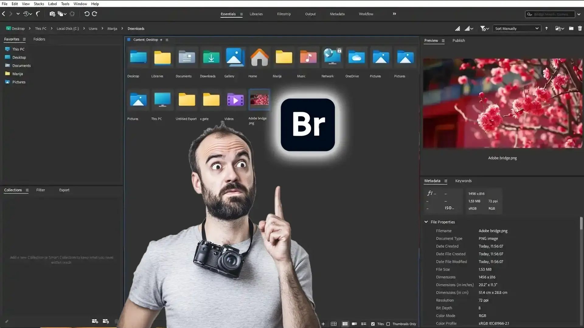 Working with Adobe Bridge 2026 v16.0.7 full license
