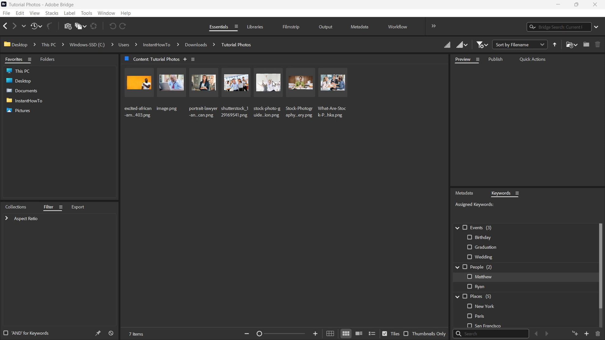Working with Adobe Bridge 2026 v16.0.8.10 full license
