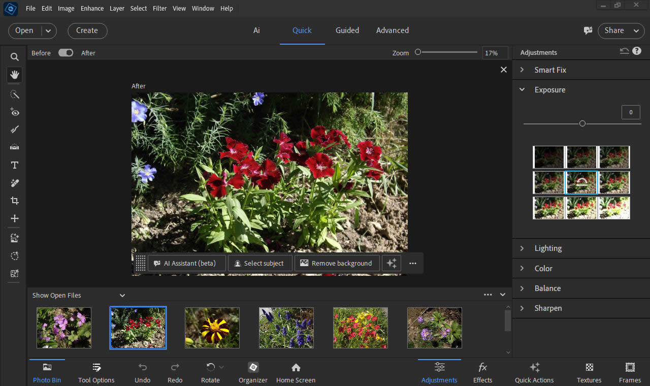 Working with Adobe Photoshop Elements 2027 v27.0 full license
