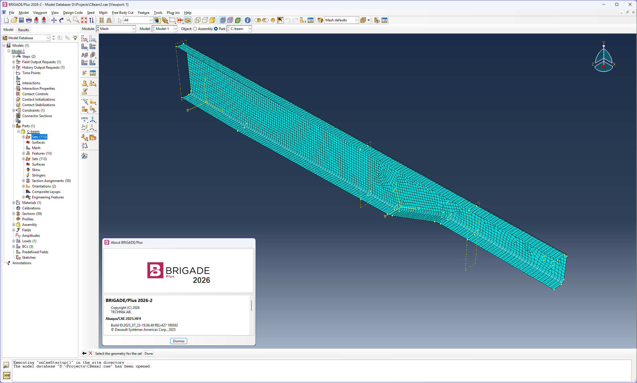 Working with Technia BRIGADE Plus 2026.2 full license