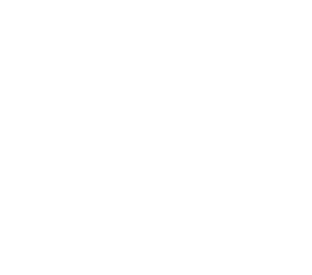 icono de rapida identificacion de fallas