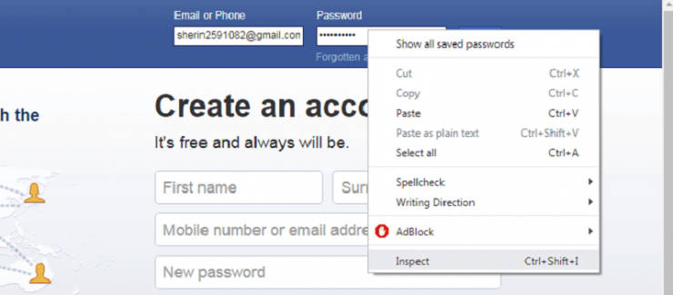 how-to-make-password-visible-reveal-asterisk-using-inspect-element