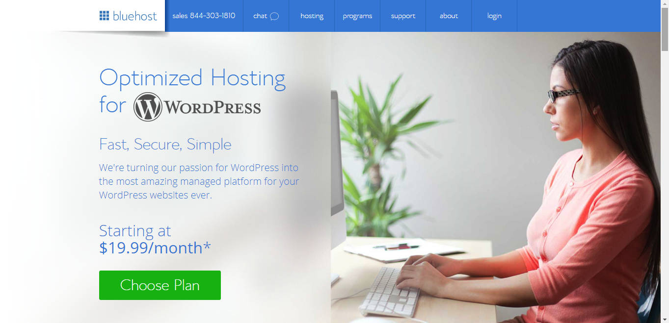 wordpress hosting