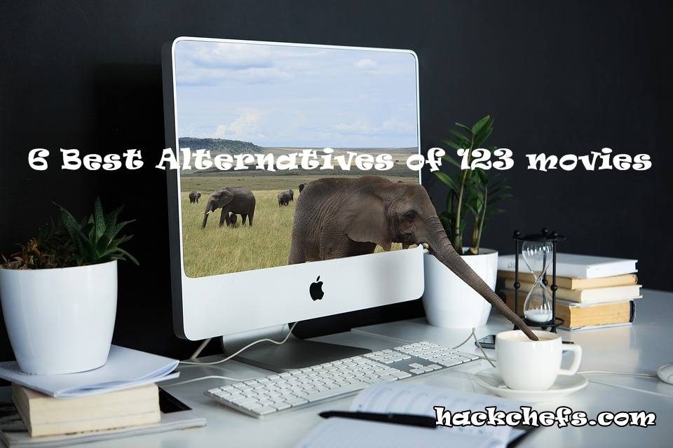 Www.123movies Www.123movies