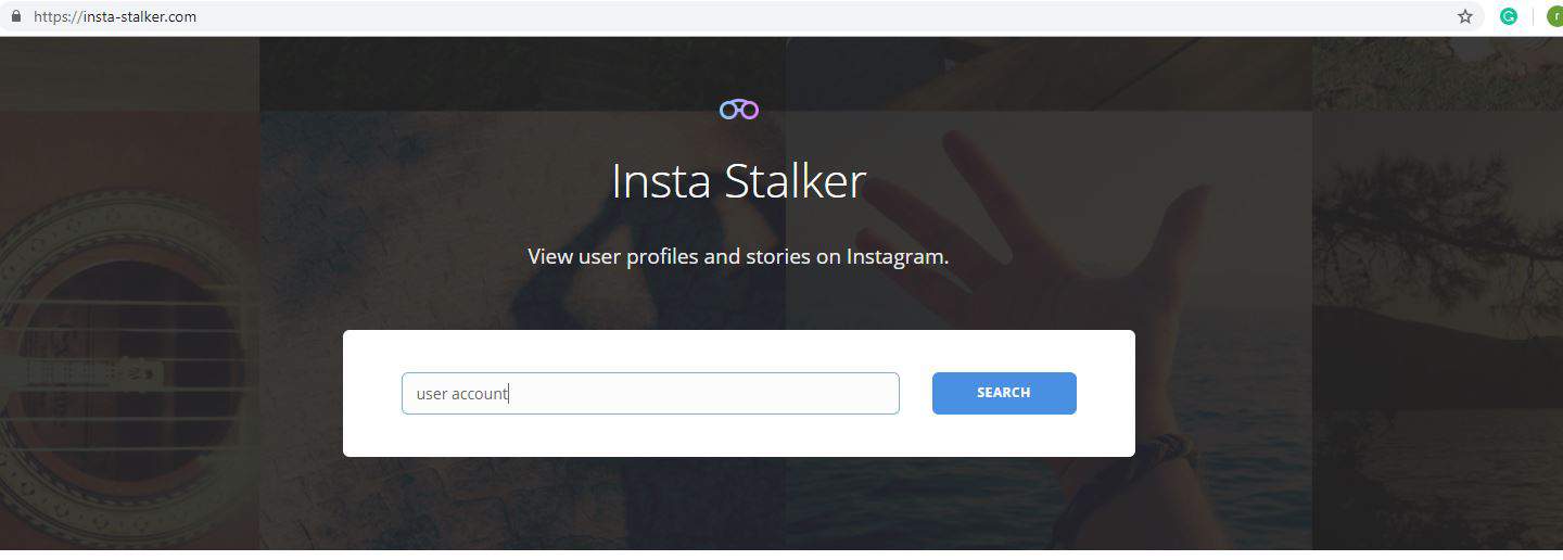 private instagram story viewer free