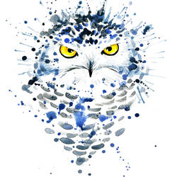 Tommy, The Blue Owl Tattoo Design