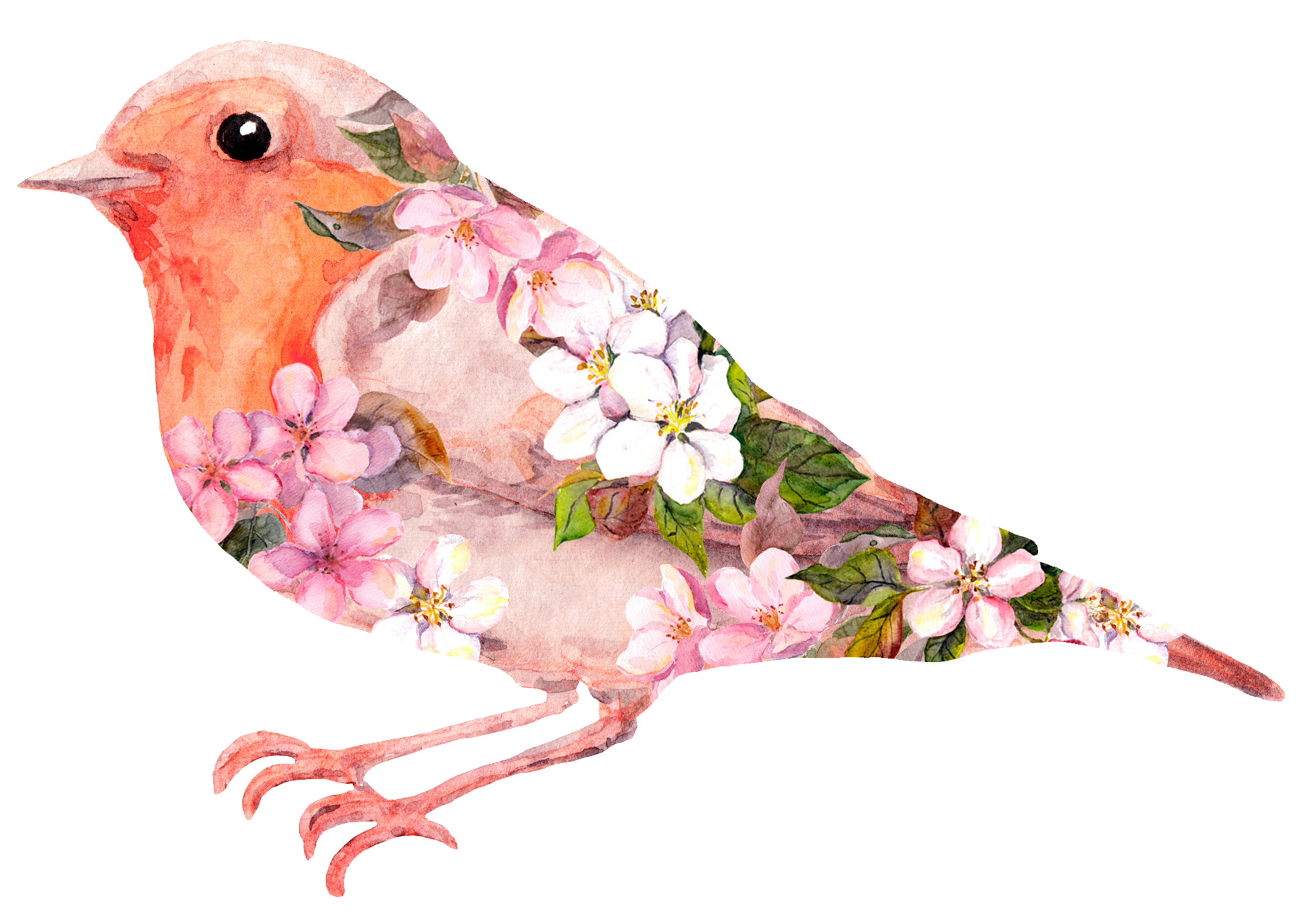 Amazon.com : 12 Sheets Red Cardinals Birds Temporary Tattoos, Watercolor  Flowers Birds Realistic Tattoo Stickers Body Art for Girls Boys Kids Adults  : Beauty & Personal Care