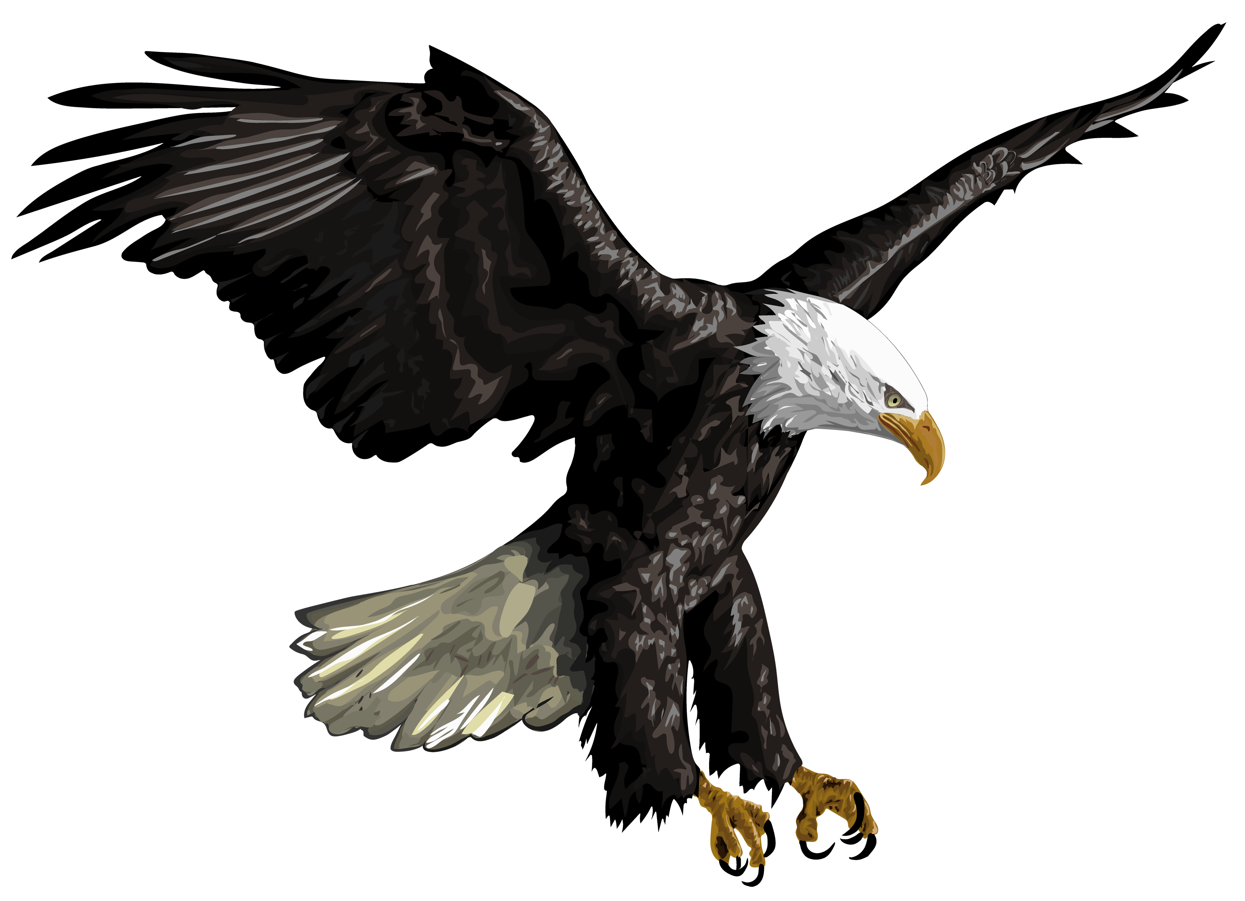 Old School Eagle Tattoo Art 13