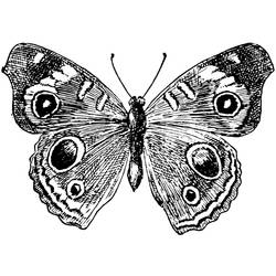 Emma, The Butterfly Tattoo Design