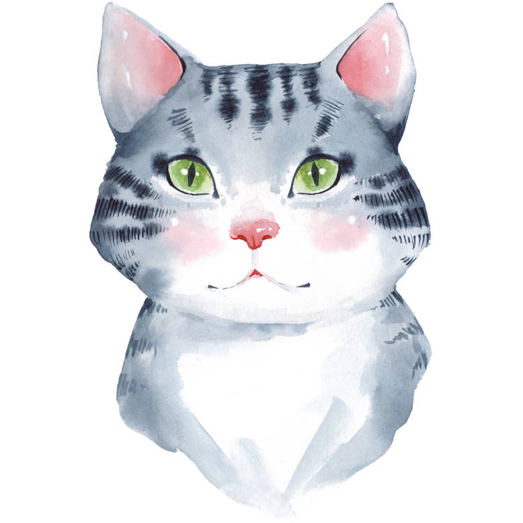 Lola, The Blushy Cat Tattoo Design 