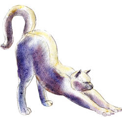 Downward Cat Pose Tattoo Design