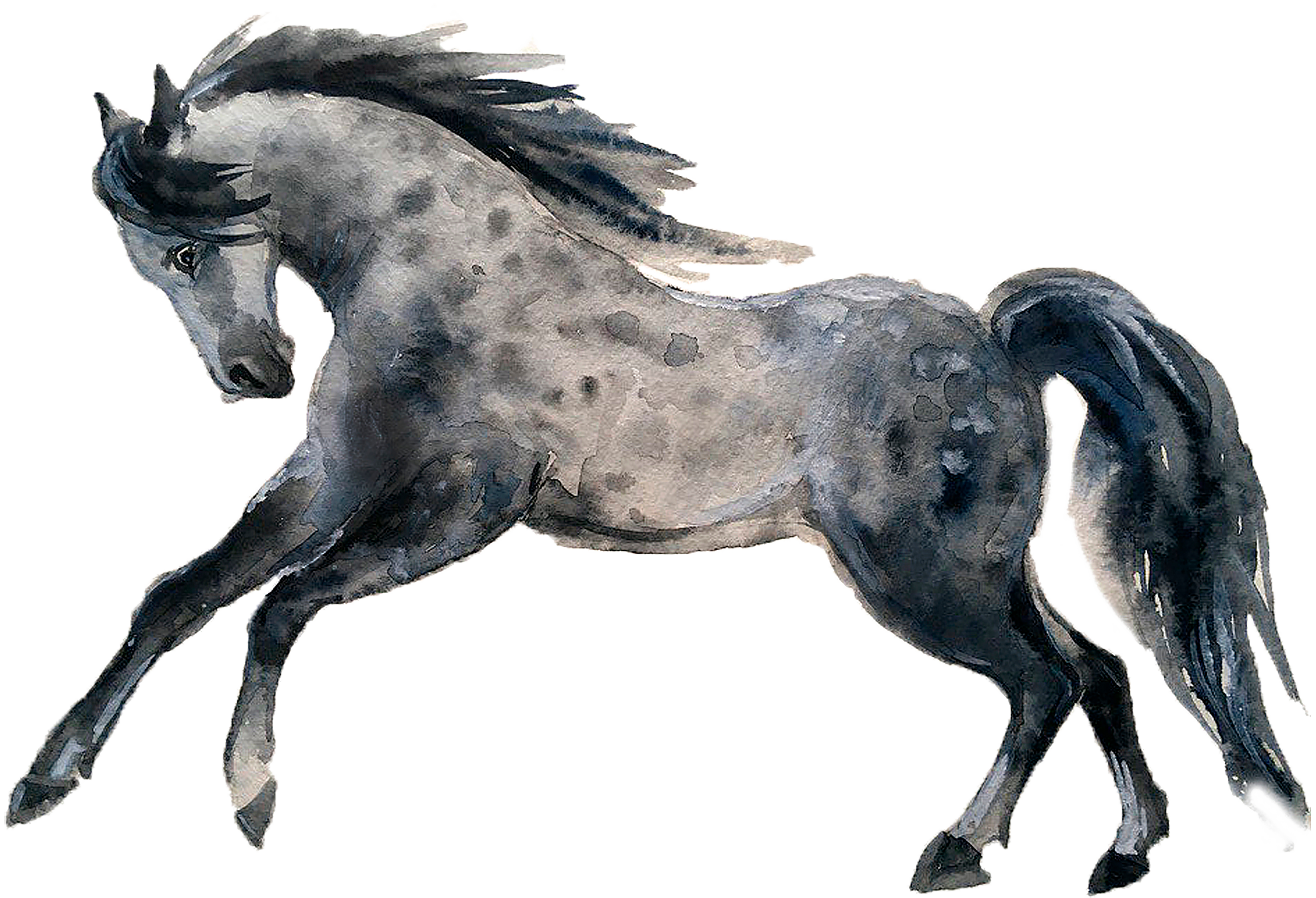 Tribal Running Horse Stock Illustrations – 378 Tribal Running Horse Stock  Illustrations, Vectors & Clipart - Dreamstime