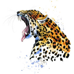 Big Yawn Tiger Tattoo Design