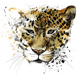 Harry, The Tiger Tattoo Design