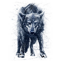 Midnight Blue Wolf Tattoo Design