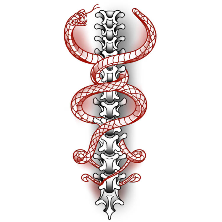 Snake Spine Tattoo Design 