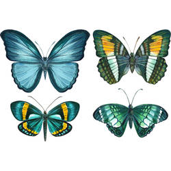 Aqua Butterflies