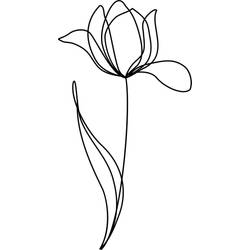 Continuous Line Tulip Flower Tattoo Design