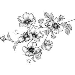 Flowers Branch Tattoo Design