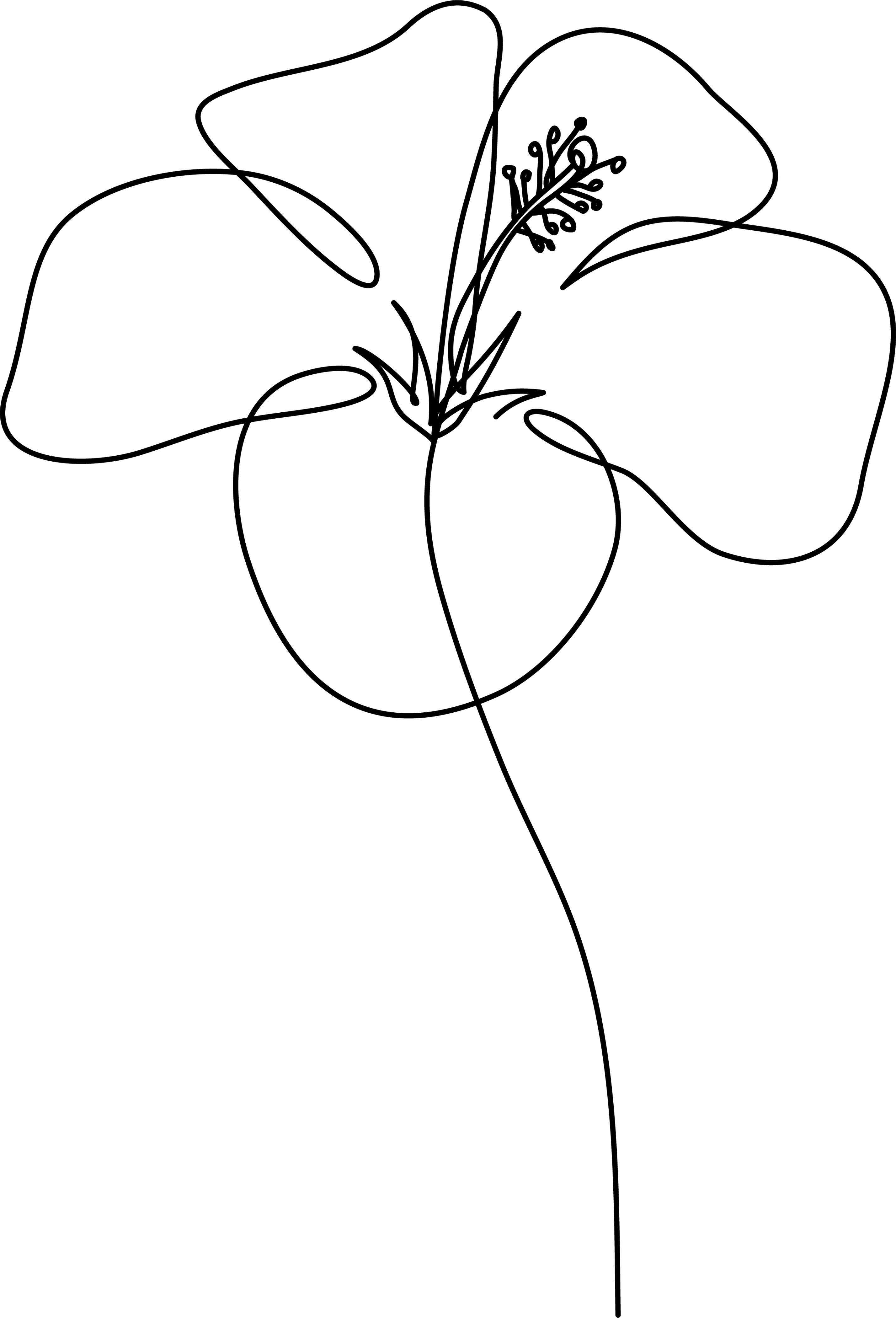 Tattoo Rose Flower. Vector Illustration Art Isolated Vector Stock Vector -  Illustration of cartoon, concept: 127586839
