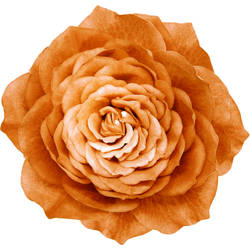 Orange Rose Tattoo Design